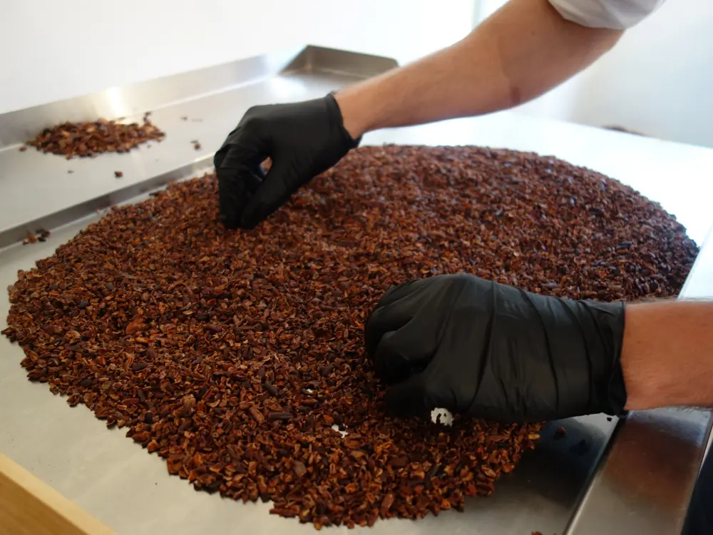 chocolatoa bean to bar chocolade