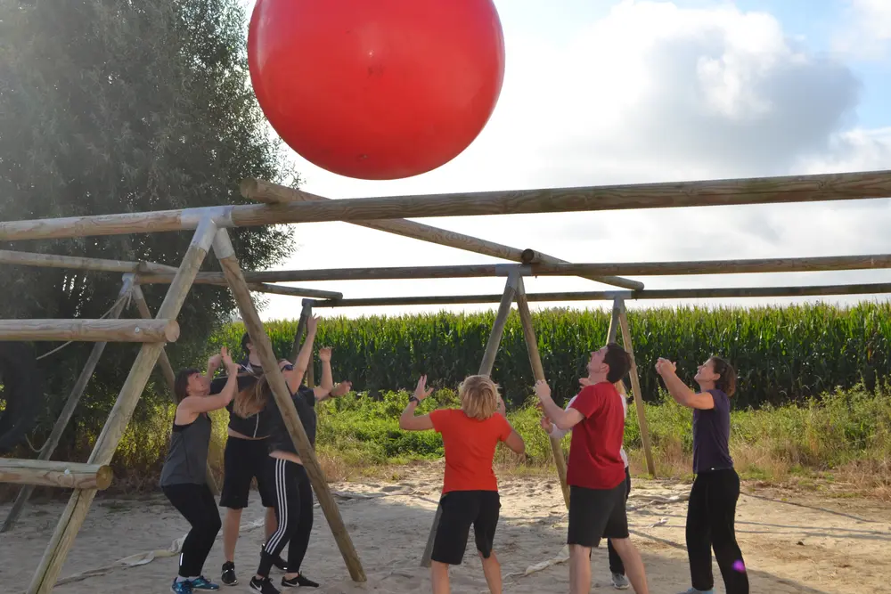 Teambuilding Movemint