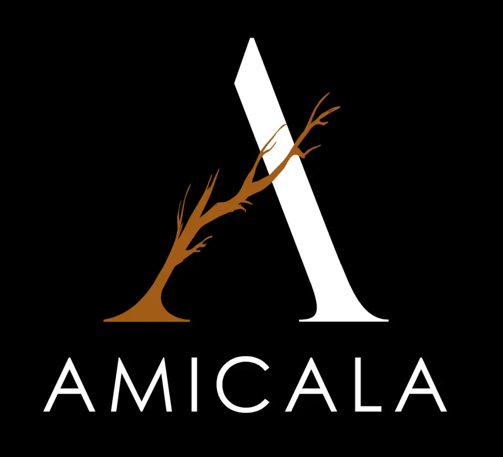 Logo van Amicala in png