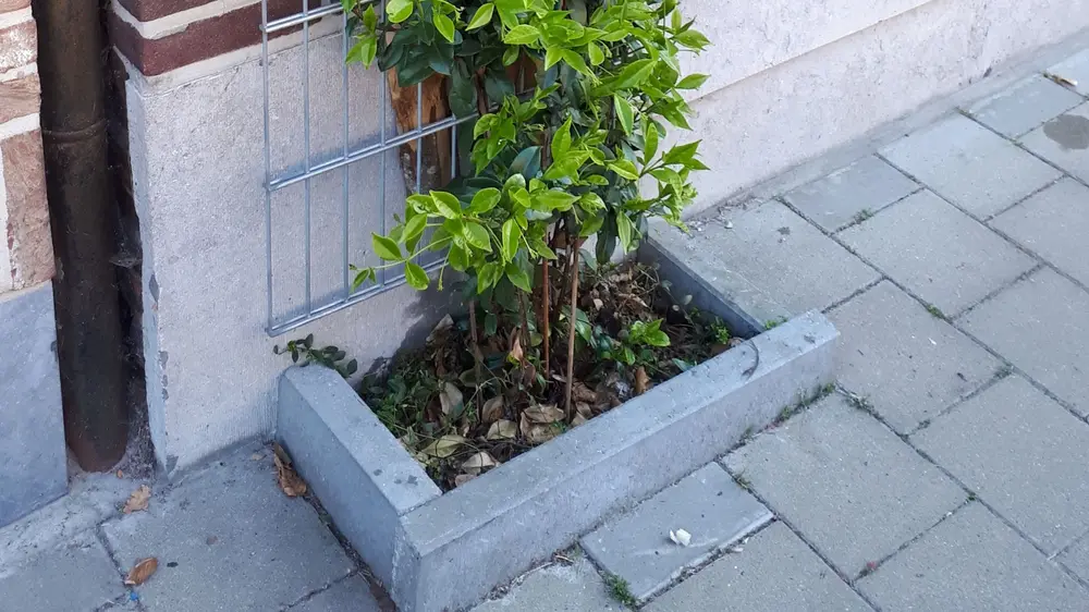 Afboording groene gevel grondgebonden