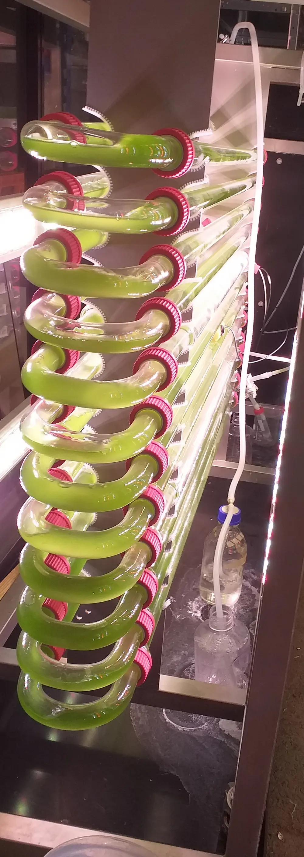 Kleinere reactor voor het opkweken van cyanobacteriën in het laboratorium in Amsterdam