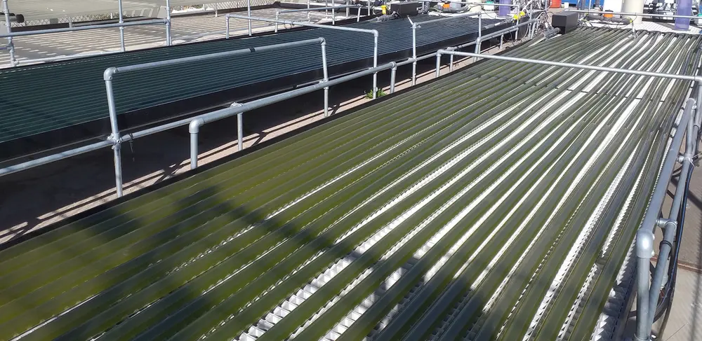 Pilot fotobioreactor van 2 x 10 meter