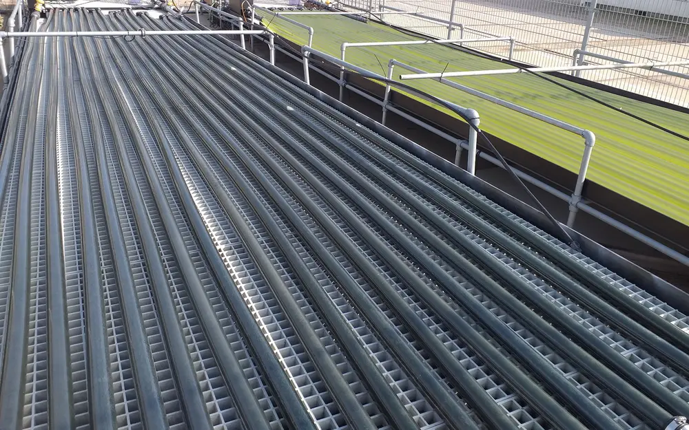 Buizen bevatten nog nauwelijks of geen cyanobacteriën