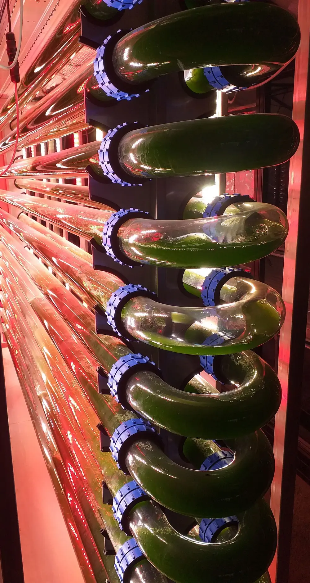 Fotobioreactor binnen van Photanol