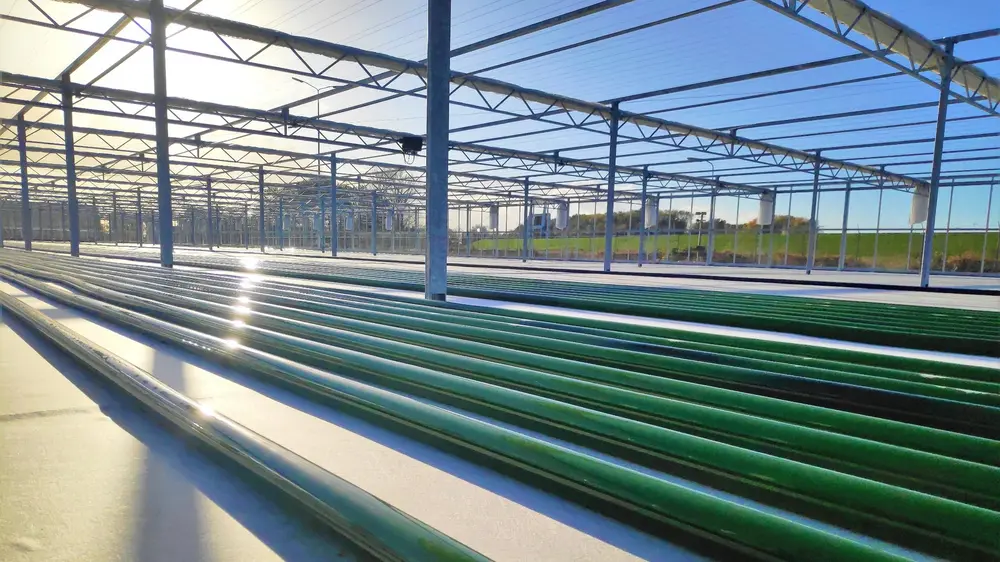 De demontratie-installatie van 50 x 100 meter van Photanol Delfzijl voor het uittesten van nieuwe processen
