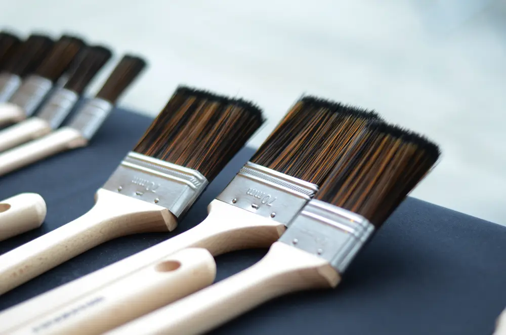 radiatorkwasten anza pro