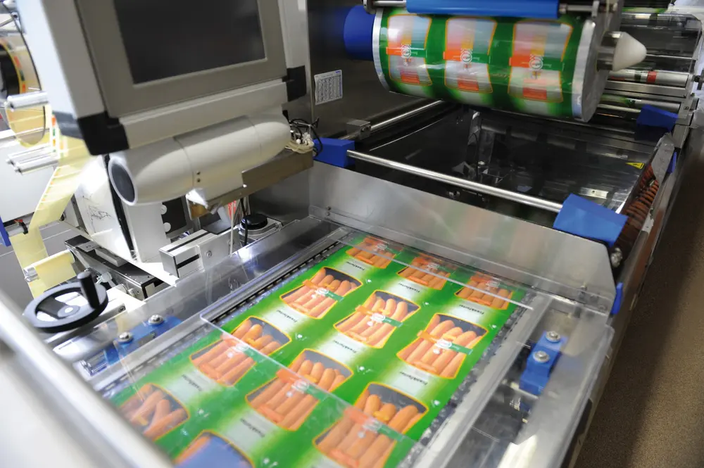 Dossier vacuümpompen foto 3