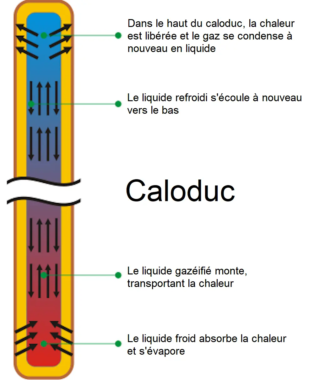 Caloduc