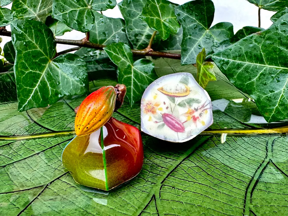 De winnende professionele praline: 'Le fruit du chocolatier'