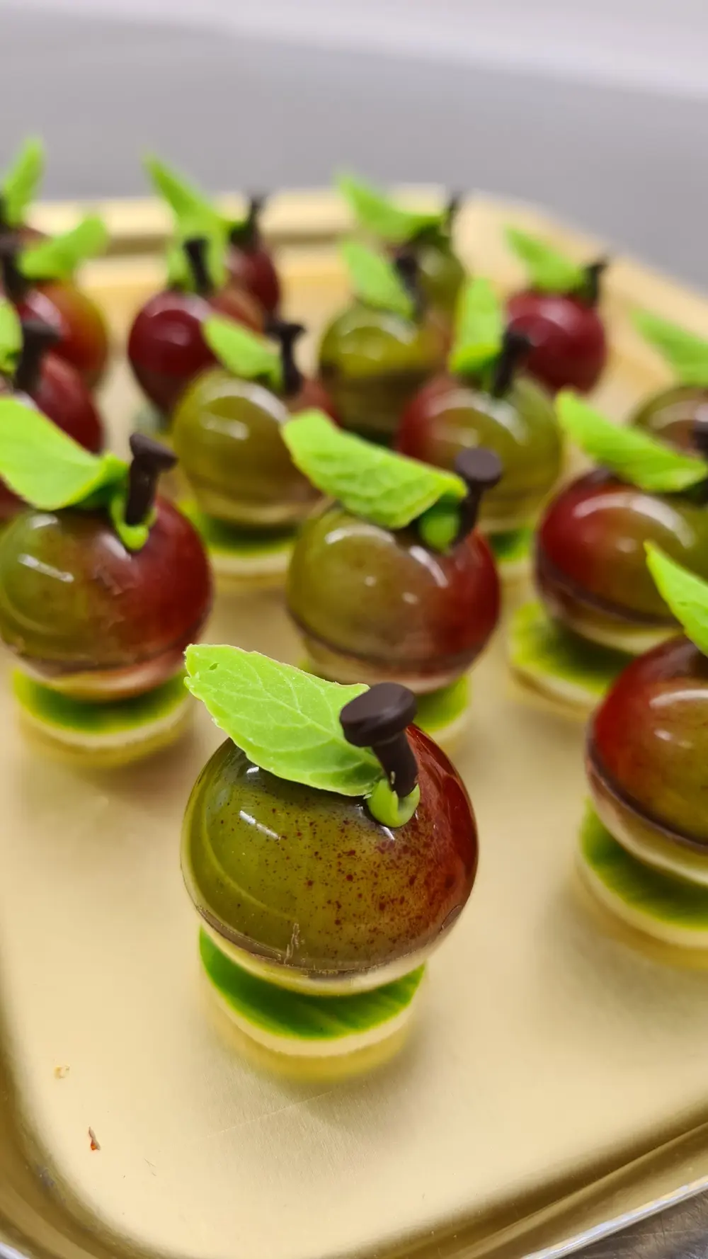 fotoreeks pommeretta