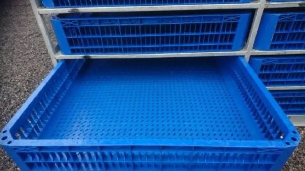 kratten pluimvee slachthuis