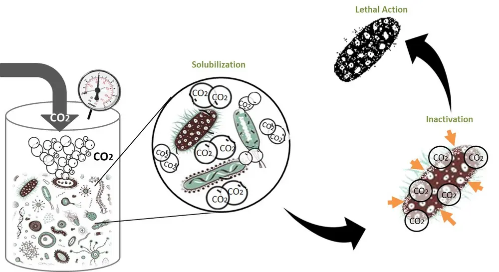 Milde conservering foto 8