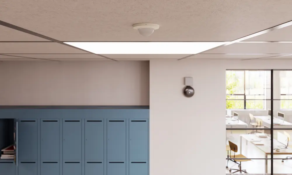 P40 en M40 detectoren