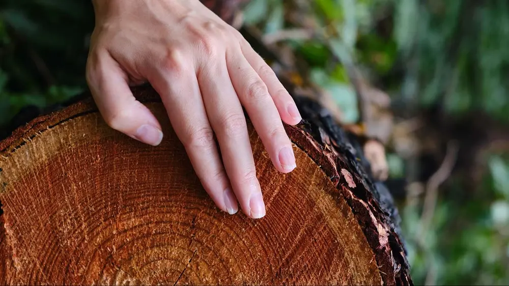 Hout natuurlijk brandveilig