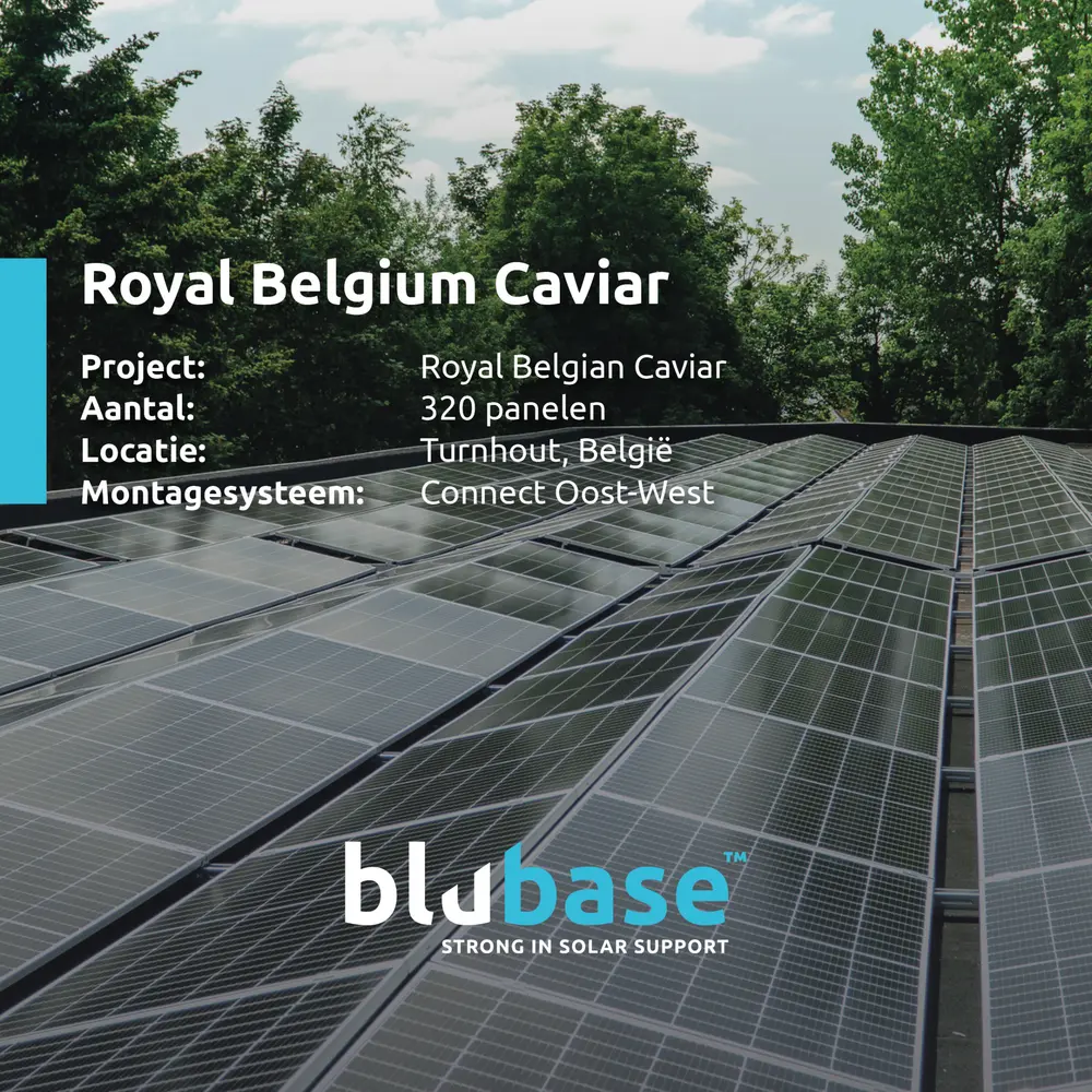 blubase project in belgie
