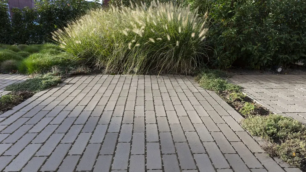 Passaqua Wienerberger kleiklinker