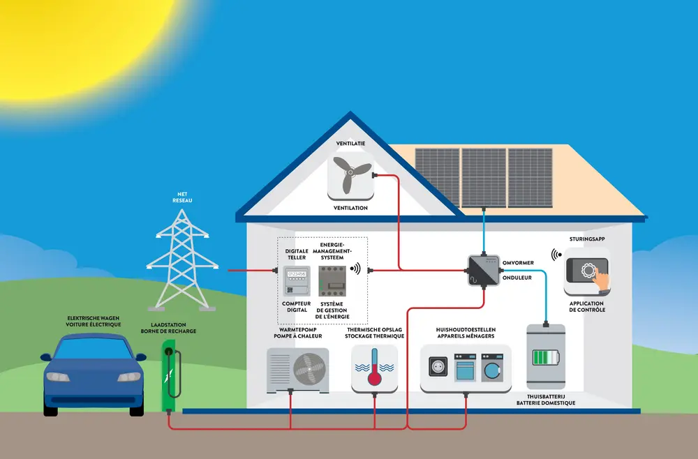 cebeo foto image photo