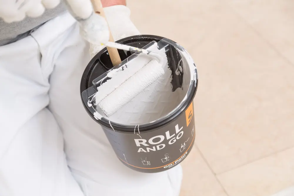 Go!Paint Roll and go S