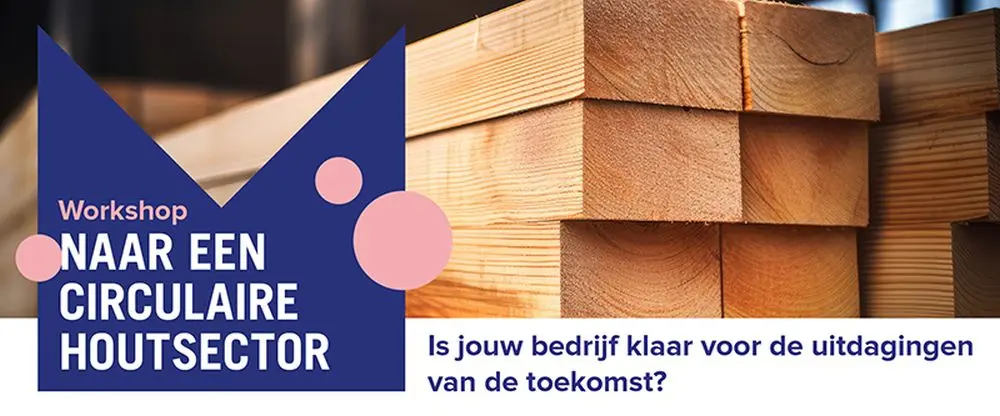 VLAIO workshop reclame