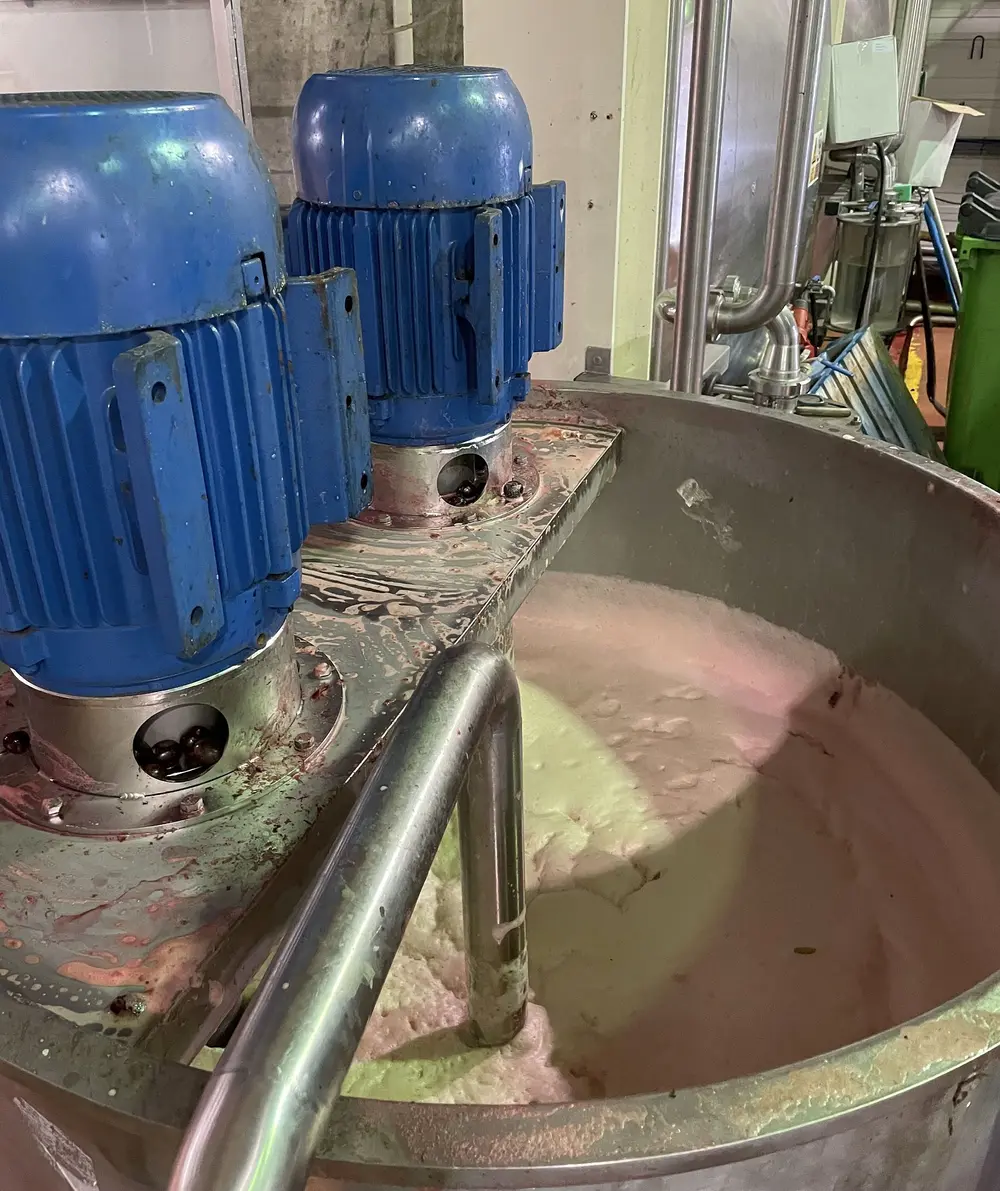 De Packo insteekcantileverpomp slaat de kersen kapot zonder de pitten te beschadigen 6