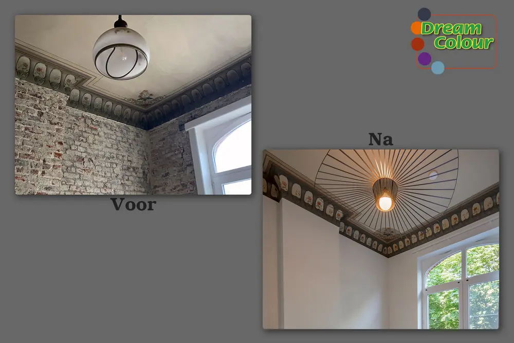 dream colour award 3