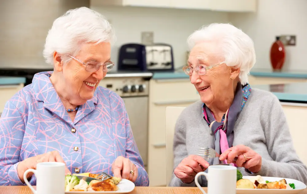 Voorgegaard vlees Dekeyser Ossaer