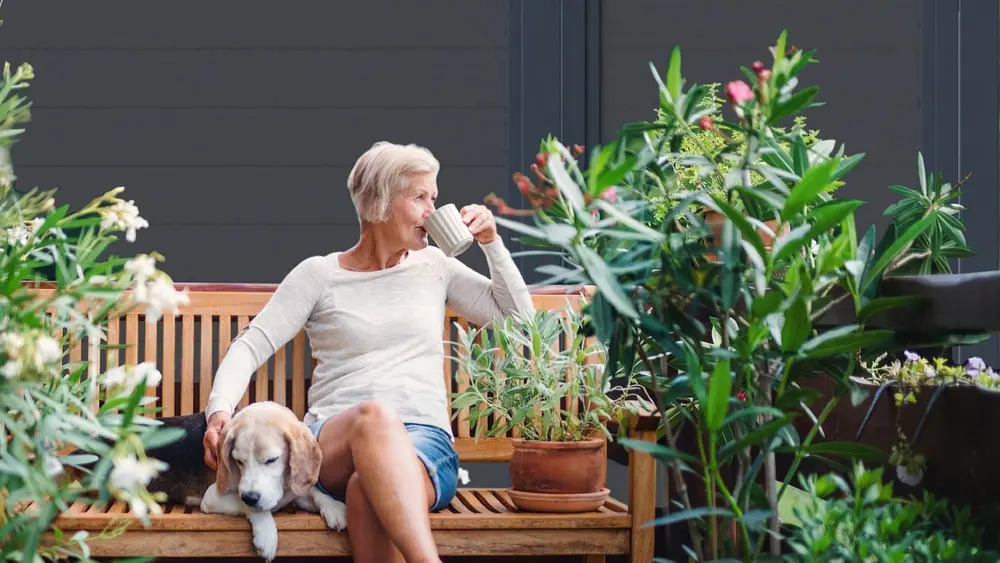 HoriZen Prime omheining