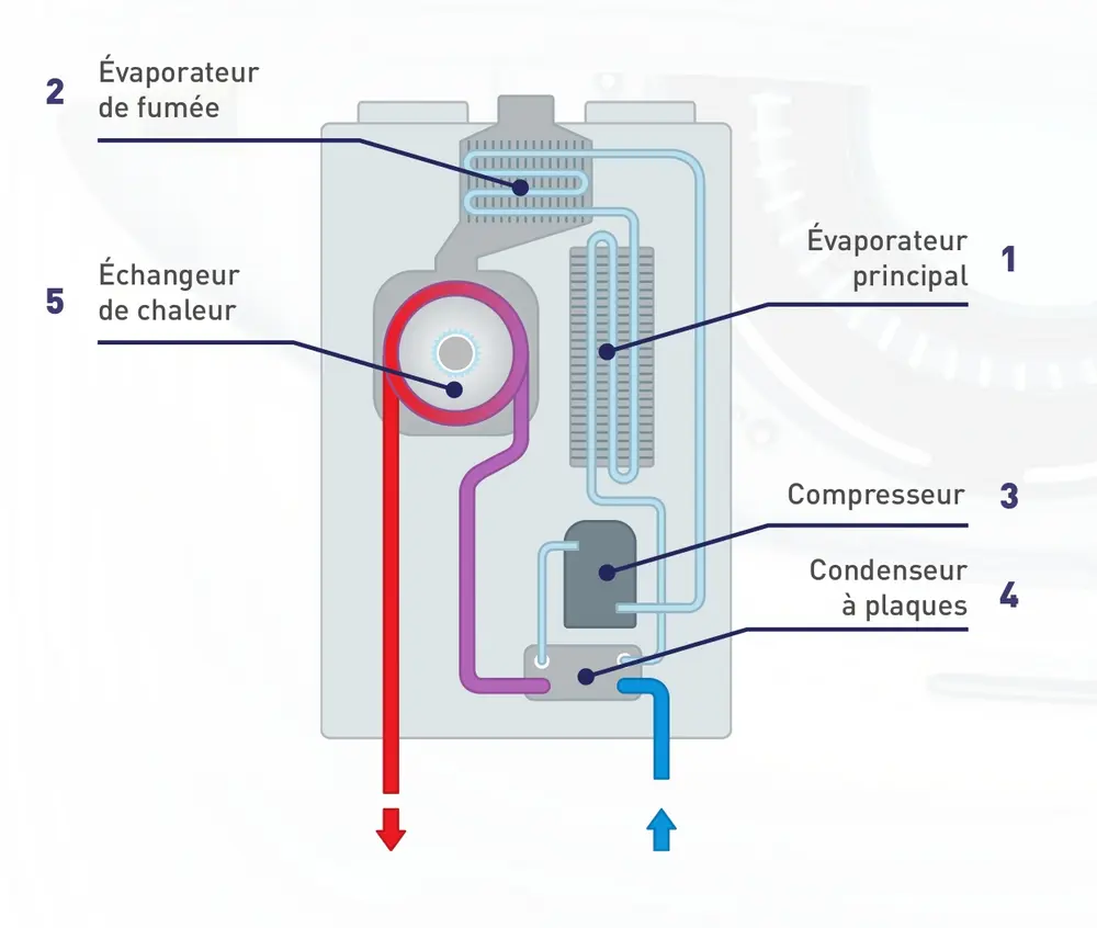 SIME PRINICIPE MURELLE REVOLUTION