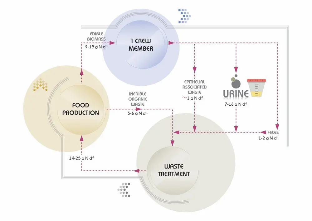 Different N sources from the crew