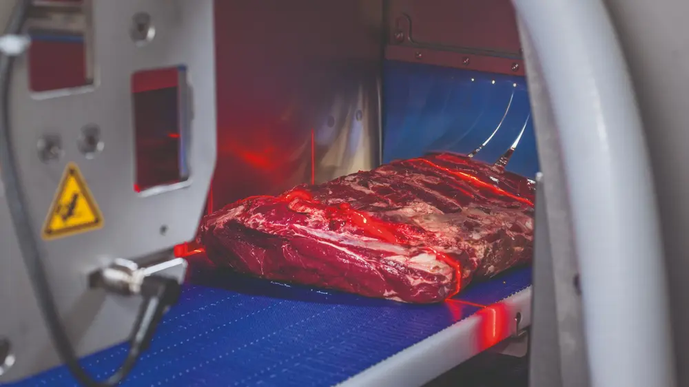 MARELEC Food Technologies is een toonaangevende fabrikant van intelligente portioneer- en weeg- en sorteeroplossingen