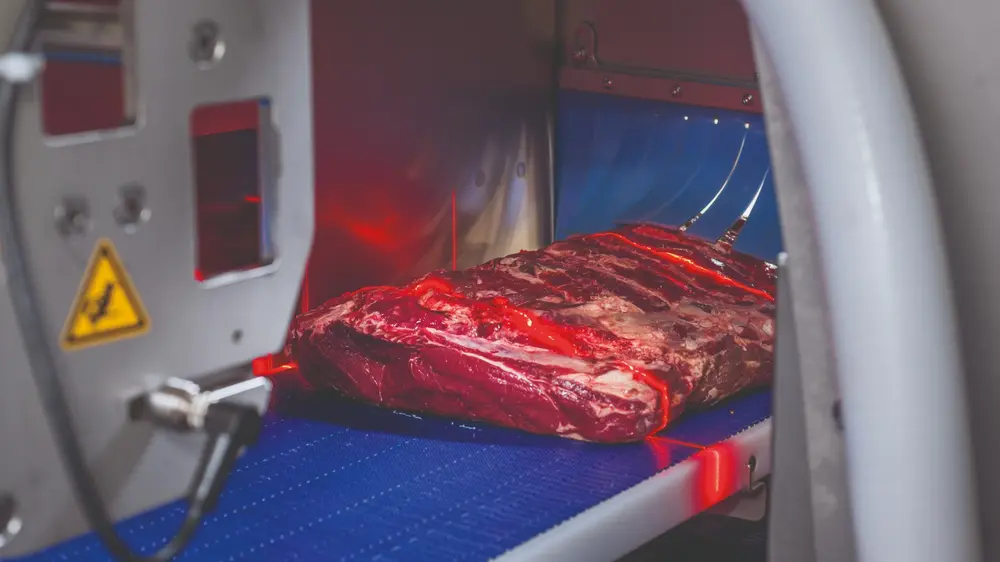 MARELEC Food Technologies, dont le siège est en Belgique, est un fabricant de premier plan de solutions intelligentes de portionnement, de pesage et de triage