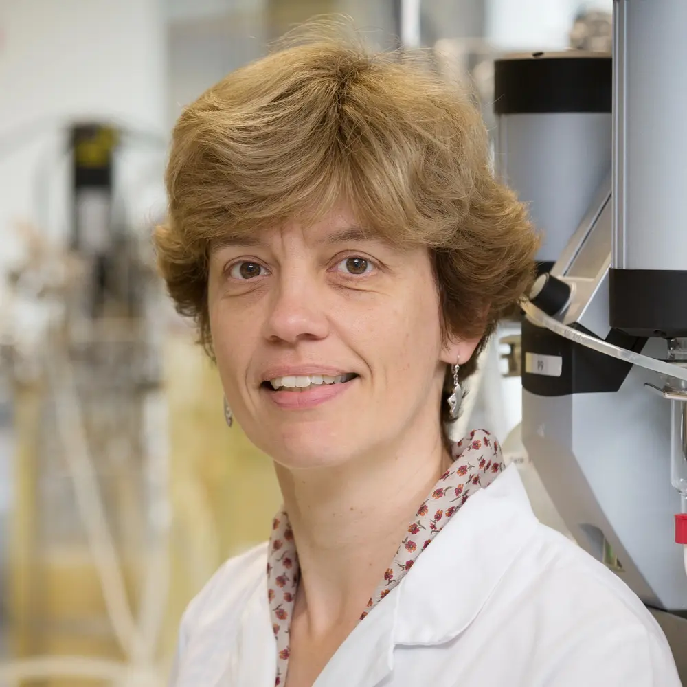 Heleen De Wever VITO