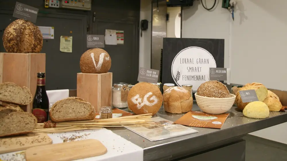 Lokaal graan Traagste Brood