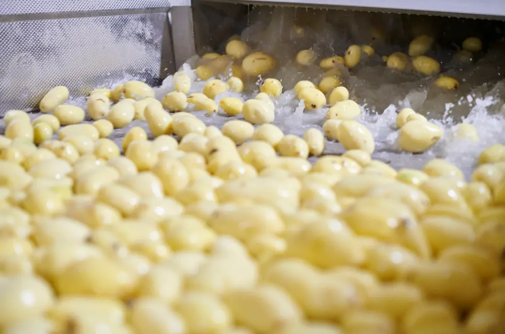 De afzetkanalen van Agristo zijn zowel de retail en foodservice als de industrie