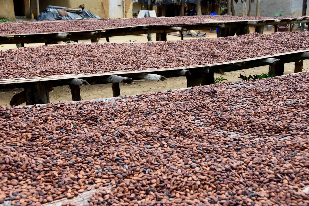 in- en uitvoer verboden