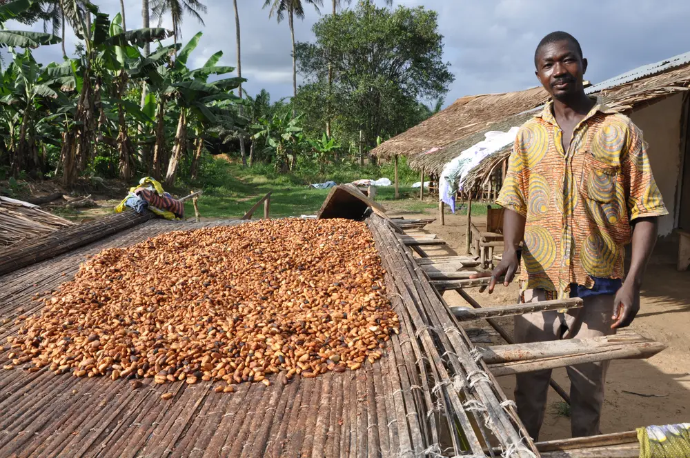 risiconiveau zorgvuldigheidsverklaring