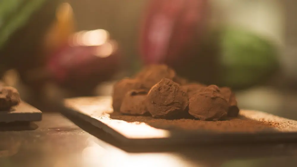 Gudrun - lancering Cacao bites 