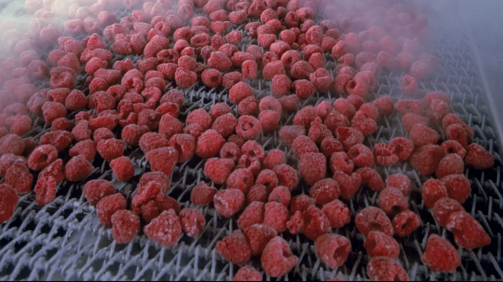 Koelen voeding foto 4