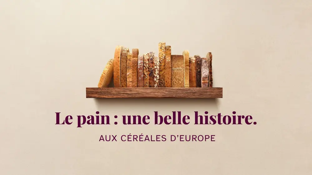 visual campagnebeeld FR