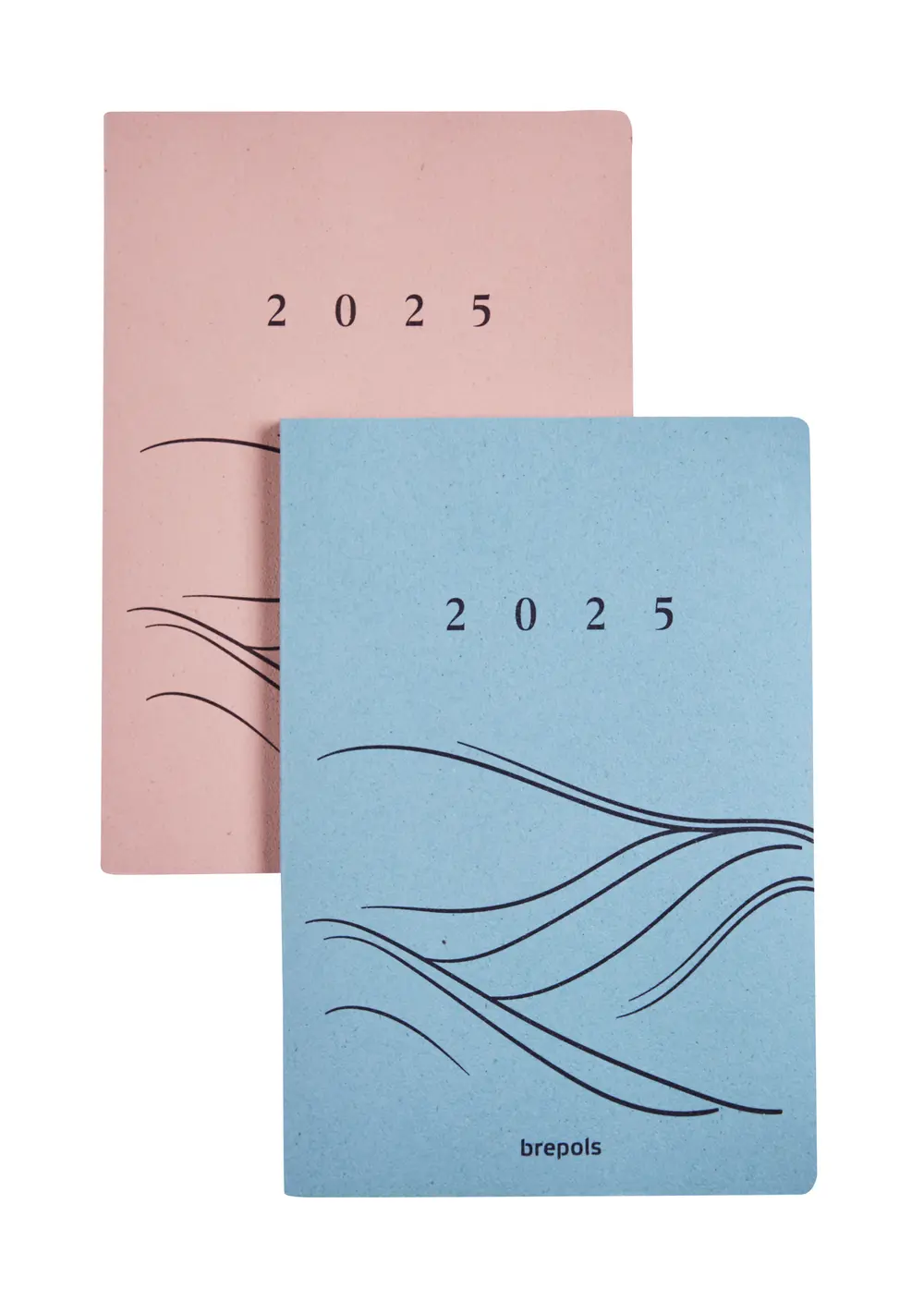 essential motion planner