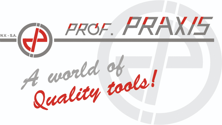 Nieuw logo Prof Praxis