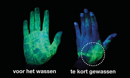 Allergenen Consultancy 5