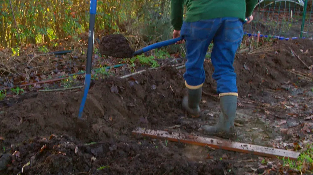 verhoogde bedden moestuin