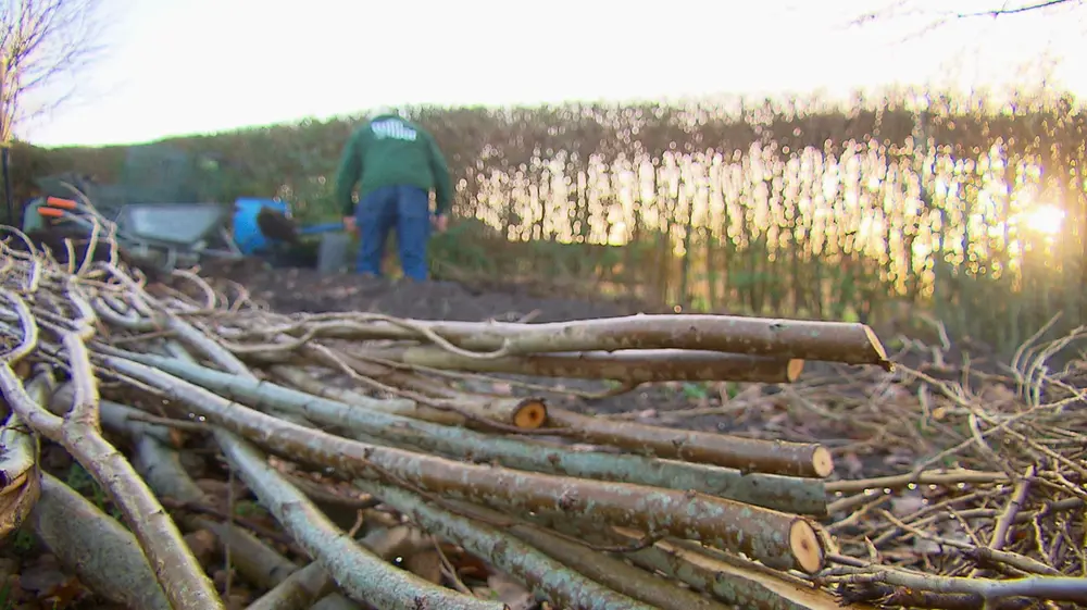 snoeihout voor in je Hügelbed