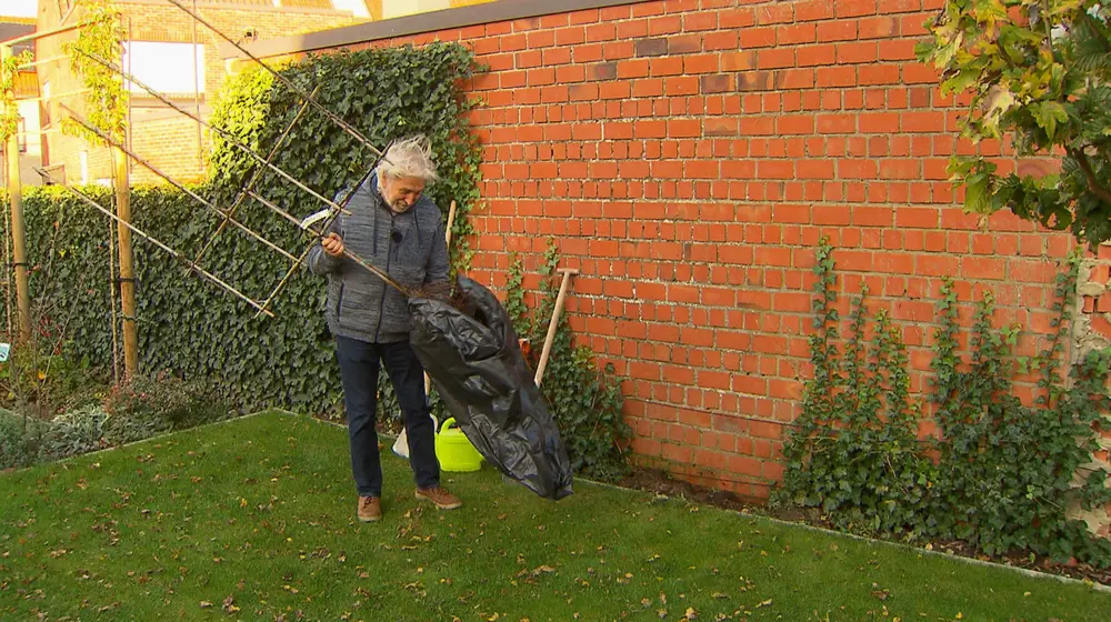 wortels in een zak steken