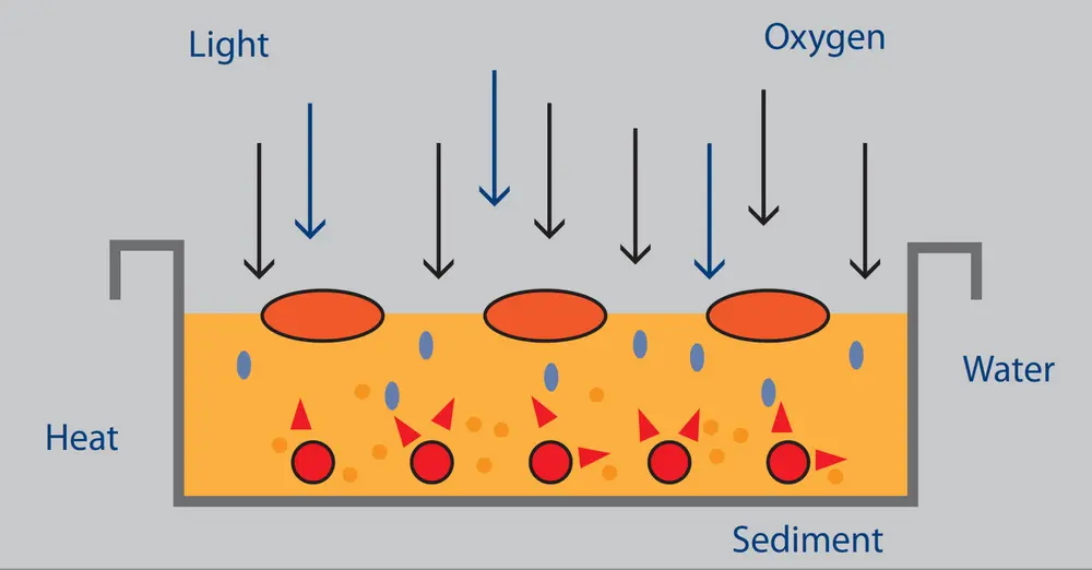Schema vijanden olie