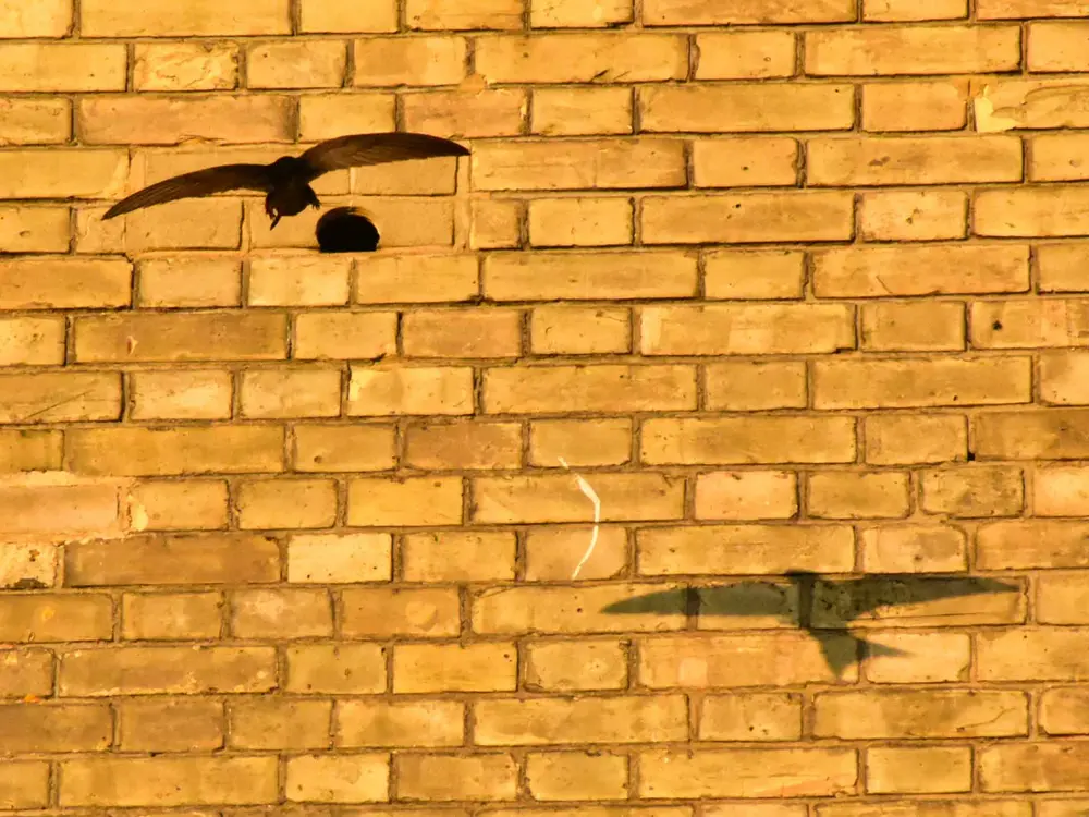 Natuurinclusieve producten