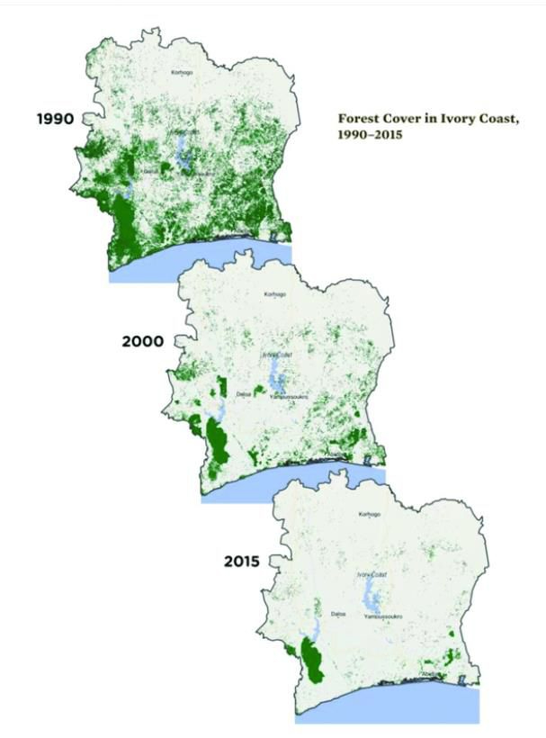 bosbedekking Ivoorkust