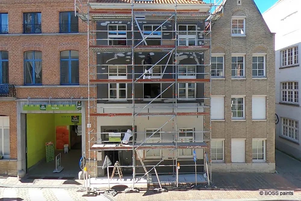 niet-overschilderbaar boss