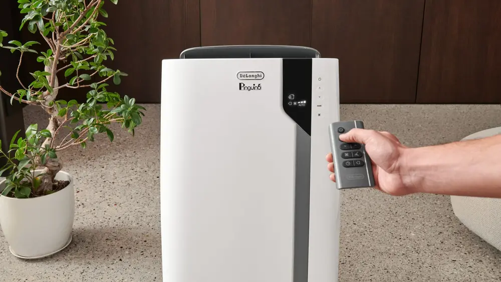 De'Longhi's PACEX105A+++